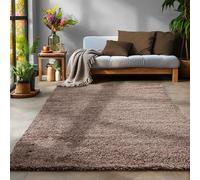 Tapis à Poils Longs, Unicolor - Monochrome, Tapis Taupe, 300 x 400 cm, Tapis de Style Moderne, Tapis Salon