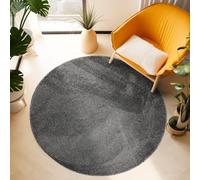 Tapis à Poils Ras, Unicolor - Monochrome, Tapis Gris, 120 cm Rond, Tapis de Style Moderne, Tapis Salon