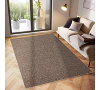 Tapis à Poils Ras, Unicolor - Monochrome, Tapis Marron, 120 x 170 cm, Tapis de Style Moderne, Tapis Salon