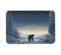 Tapis absorbant l'eau, motif ours polaire dans la neige, tapis de sol antidérapant en diatomée pour intérieur et extérieur, 60 x 40 cm
