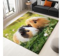 Tapis Animaux Herbe Cochon d'Inde Marron Blanc 80 X 150 Cm - Poils Courts Ultra Doux, Lavable en Machine, Antidérapant, Ne Peluche Pas - Tapis Rectangulaire pour Salon, Chambre, Cuisine