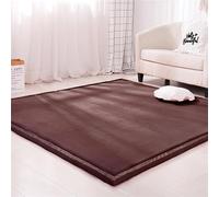 Tapis antidérapant en velours de corail pour chambre à coucher, salon, yoga, chambre d'enfant, décoration d'intérieur, salle de classe, 100 x 300 cm, épaisseur 2 cm