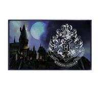 Tapis - Arditex - Harry Potter - 40 x 60 cm - Rectangulaire - Bleu