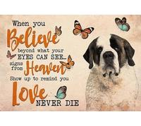 Tapis Bains Lavable Tapis De Bienvenue Saint Bernard Quand Tu Crois Au-Delà De Ce Que Tes Yeux Peuvent Voir Anti-Saleté Tapi Entrée pour Salle De Bain Couloir Intérieur 40X60Cm