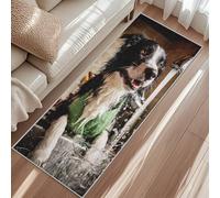 Tapis Border Collie, Tapis Entree Animaux Chien Amusant, Rugs 50x80cm pour Chambre Passage Sortie Carpet Poils Ras Antidérapant Lavable en Machine