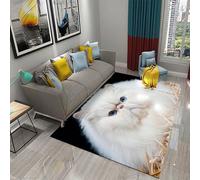 Tapis Chambre Chat Animalier Ado Garcon Enfant Adulte,Tapis De Salon Bain Home Antiderapant 3D Décoration Tapis Poil Ras Flanelle Tout Doux 40 X 60 Cm -60032170311321