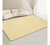 Tapis chauffant électrique, grand coussin chauffant pour animaux, tapis de sol chauffant à température réglable, chauffe-pieds imperméable pour yoga, pilates et exercices(A,100x100cm)