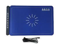 Tapis chauffant pour aliments - Température réglable de 40 à 100 °C - Minuterie de 1 à 5 heures - Design enroulable pour un rangement facile - Idéal pour garder les aliments au chaud lors de fêtes et