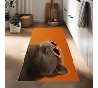 Tapis Couloir Antidérapant 60 x 150 cm, Tapis de Cuisine Photographie Fantastique Poil Court Doux Lavable en Machine Animaux Chats Lunettes Soleil Portraits pour Salon Couloir Entrée Descente de Lit