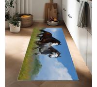 Tapis couloir lavable en machine photographie artistique, tapis de passage cuisine 60 x 120 cm - moquette doux prairie animaux objets imprimés chevaux pour chambre à coucher couloir descente de lit