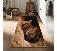Tapis Couloir Long 50 x 140 cm, Tapis Passage Poil Ras Photographie de Nature, Lavable en Machine Coureur de Cuisine Animal Lion des Cavernes, Antidérapant Coureur D'entrée Descente de Lit Chambre