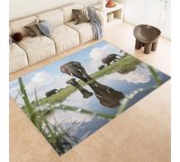 Tapis Cuisine 60x90 cm Imitation Cachemire Lavable Motif éLéPhant Herbe Nuages 3D Antidérapant Nettoyage Facile à la Machine ou à la Main Idéal pour Entrée Studio Côté Lit ou Décoration Murale