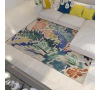 Tapis d’Art esthétique Contemporain Coup de Pinceau Abstrait Coloré Grands Tapis Sol Tapis antidérapant Doux pour Salon Cuisine Chevet 100x150cm