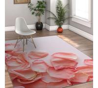 Tapis d’espaceRugs Lavable antidérapant à Poil Bas Tapis à Poils Bas Motif pétales de Rose Rose Rugs de Sol à Ressort pour Salon Chambre Entrée Décor Floral intérieur 140x180cm