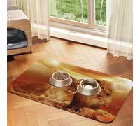 Tapis d'alimentation à motif lion africain et lionne avec dessus en polyuréthane absorbant l'eau et base en caoutchouc - Tapis de nourriture antidérapant pour chiens, chats et animaux de compagnie, 40