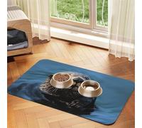 Tapis d'alimentation absorbant en cuir synthétique pour chien et chat - Protection des sols - Dos en caoutchouc antidérapant - Facile à nettoyer - 30 x 45 cm