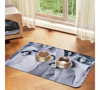 Tapis d'alimentation pour animaux de compagnie avec dessus en polyuréthane absorbant l'eau et base en caoutchouc - Tapis antidérapant pour chien et chat, 30 x 45 cm