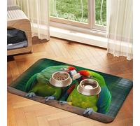 Tapis d'alimentation pour chien et gamelle d'eau antidérapant pour animal de compagnie - Tapis absorbant pour deux perroquets qui s'aiment mutuellement - Tapis de nourriture pour animaux de compagnie