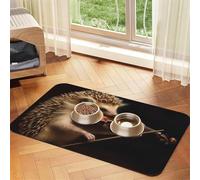 Tapis d'alimentation pour chien et gamelle d'eau antidérapant pour animaux de compagnie, tapis de mangeoire absorbant pour chat, hérisson, violon de musique, tapis de nourriture pour animaux