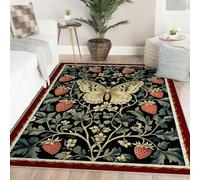 Tapis de 100x150 Salon Roubard Fraises Voleuse Grands carpette avec Dossier antidérapant Modernes à Motif Papillon lavables pour Chambre Salle Manger Bureau Domicile Nursery Intérieur