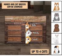 Tapis De Bain Absorbant Paillasson De Bienvenue Doux Paillasson D'Entree pour D'Entrée Bain Intérieur 40X60Cm Chat Que Nous Connaissons