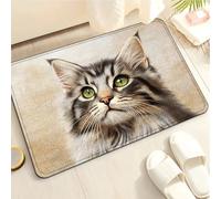 Tapis de Bain Animaux Bruns Tapis Salle de Bain Doux Microfibre Tapis de Douche Antiderapant Lavable Machine Bath Mat Absorbant d'eau Epais Rug 50x80cm