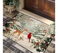 Tapis De Bain Antiderapant 60X90 Oiseau Rouge Moderne Tapis Diatomite Salle De Bain Douche Absorbant Lavable Séchage Rapide,Deco Salle Bain pour Portes Salles Bains, Salon Et Cuisine