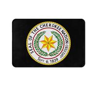 Tapis De Bain Antidérapant Paillasson Grande Nation Anti-Saleté Tapi De Sol D'Intérieur pour Salle De Bain Entrée Couloir 40X60Cm