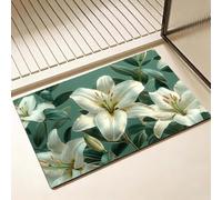 Tapis de Bain blanc Séchage Rapide 40 x 50 cm, Tapis de Douche Antidérapant, Absorbant l'eau, Anti Odeur, Facile à Nettoyer, pour Douche, Salle de Bain, Paillasson, Chambre et Salon, Lily D-3343