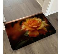 Tapis de Bain Brique Rouge Orange Tapis Salle de Bain Doux Microfibre Tapis de Douche Antiderapant Lavable Machine Bath Mat Absorbant d'eau Epais Rug 50x80cm