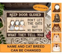 Tapis De Bain Facile À Nettoyer Tapis De Porte Anti-Poussière Paillasson De Bienvenue pour Intérieur Salon Bain 40X60Cm Chat, Ne Laissez Pas Le Chat Sortir