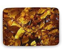Tapis De Bain Feuilles d'automne Bienvenue chez Moi Paillasson D'Entrée Lavable en Machine Absorbant Tapis De Sol Antidérapant, pour Cuisine, Intérieur/Extérieur, Salle De Bain, 40x60cm