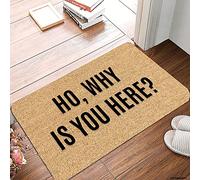 Tapis De Bain Ho, Pourquoi ES-Tu Ici ? Paillasson Durable Lavable Tapis De Douche, pour Cuisine, Salon, Baignoire, 40x60cm
