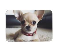 Tapis de bain mignon en forme de diatomée de chihuahua qui absorbe l'humidité et la saleté, paillasson avec dos en caoutchouc antidérapant, tapis de sol adapté sous la porte, pour salle de bain