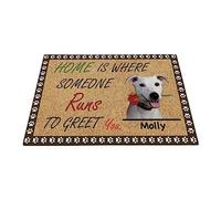 Tapis De Bain Paillasson D'Entree Tapis De Sol Antidérapant 40X60cm Jack Russell Terrier, Chien Drôle Personnalisé avec Rose, Cadeau Jack Russell Terrier La Maison Est L'Endroit Où Quelqu'un