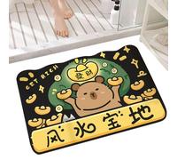 Tapis de bain pour salle de bain, joli tapis de bain Capybara, séchage rapide, tapis de bain pour dortoir extérieur, baignoire, camping-car, buanderie, cuisine