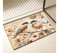 Tapis de Bain Rétro Séchage Rapide 40 x 50 cm, Tapis de Douche Antidérapant, Absorbant l'eau, Anti Odeur, Facile à Nettoyer, pour Douche, Salle de Bain, Paillasson, Chambre et Salon, oiseau D-3010