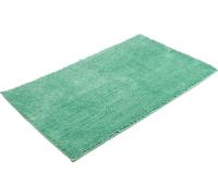 Tapis de bain Tapis de bain à poils longs Microfibre antidérapant 50 x 70 cm - menthe (82)