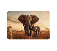 Tapis de Bain Vieil éléphant et Jeune éléphant Paillasson Interieur