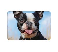 Tapis De Bienvenue Adorable Boston Terrier, Lavable Tapi Salle De Bain Anti-Saleté Paillasson 40X60Cm pour Chambre Cuisine Porte D'Entrée
