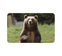 Tapis De Bienvenue Facile À Nettoyer Tapis De Porte Salut l'ours, Assieds-Toi sur La Pelouse Antidérapant Tapi Salle De Bain pour Porte D'Entrée Couloir Terrasse 40X60Cm