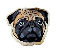 Tapis de bienvenue pour chien - Tapis d'entrée antidérapant pour la maison | Coco robuste avec support en caoutchouc, design amusant pour les animaux de compagnie, paillasson facile à nettoyer pour un