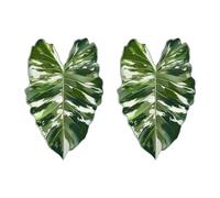Tapis de Boisson végétaux décoratifs, B | Ensemble repose-tasses en acrylique pour surfaces de café, bureaux, salles à manger et espaces de chevet