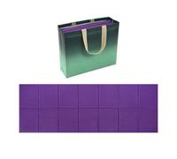 Tapis de camping - Accessoires de camping - Matelas pliable pour dormir | Coussin pliable avec sac de rangement pour gym à domicile, randonnée, plage et pique-nique multifonction