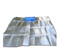Tapis de Camping en Aluminium, Tapis de Camping en Mousse EPE en Papier d'aluminium 4 mm x 0,9-3 x 2 m(2 x 2m)