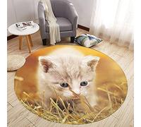 Tapis de Chambre Salon Rond Tapis de Table Basse 3D Animal Chat Chaton Imprimé Adolescent Garçon Adulte Tapis de Décoration Pour Chambre D'enfant Coussin de Chaise Antidérapant (Jaune,120 cm)