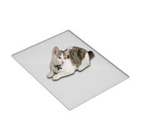 Tapis de contrôle du Sable pour Animaux de Compagnie - Couche inférieure à Prise Douce, Feuille de Texture de Confinement des déversements, Protecteur de Sol hygiénique Lavable, de Collecte Ant