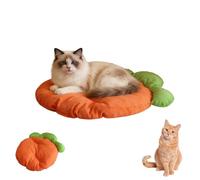 Tapis de couchage doux en forme de carotte pour chats et petits chiens, en peluche avec rembourrage chaud en coton perlé, joli coussin en forme de légume pour la sieste d'hiver en intérieur (rouge)