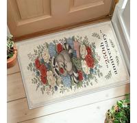 Tapis de couloir motif raton laveur, motif drapeau rose fantaisie, rouge, antidérapant, tapis rectangulaire qui ne perd pas ses poils pour cuisine, entrée, chevet, buanderie, 0,6 x 0,9 m