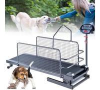 Tapis de course à pied pour chien - Fournitures pour animaux domestiques - Aide les animaux de compagnie à perdre du poids - Jusqu'à 100 kg